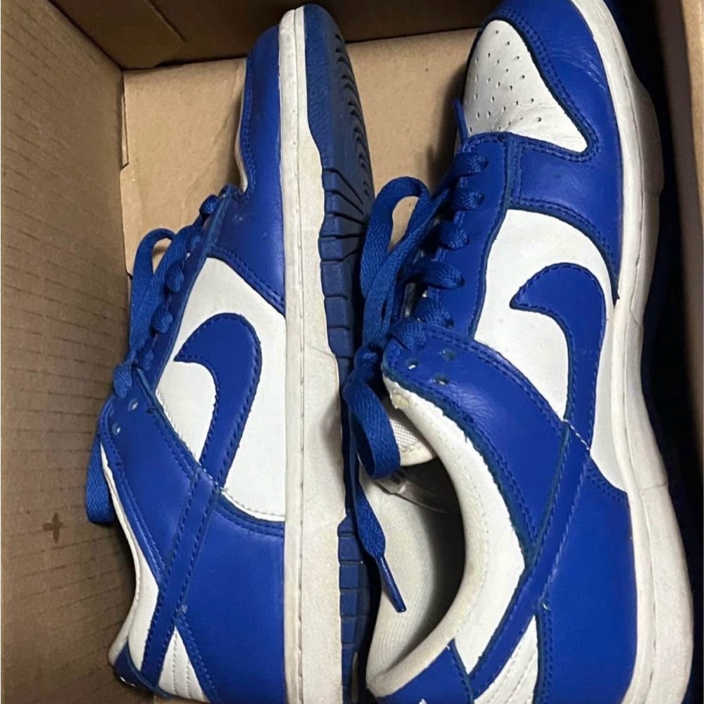 Nike Dunk Low Retro SP Kentucky